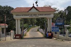 WES Credential Evaluation for KERALA VETERINARY & ANIMAL SCIENCES UNIVERSITY Graduates: Explained by Ccan Solutions.