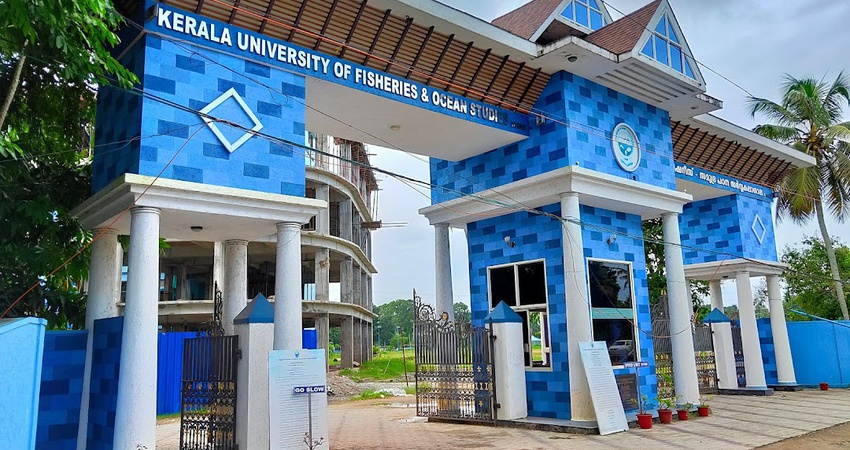 WES Evaluation for KUFOS: 5 Easy Steps to Get Your Academic Credentials Evaluated Fast with Ccan Solutions.