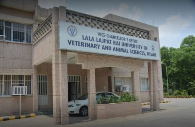 WES Process for Lala Lajpat Rai University of Veterinary & Animal Sciences Graduates: Everything You Should Know.