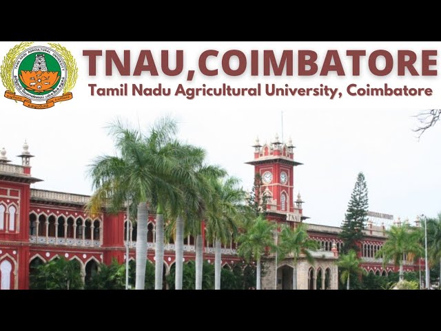Make Your Tamil Nadu Agricultural University WES Journey Seamless with Ccan Solutions.