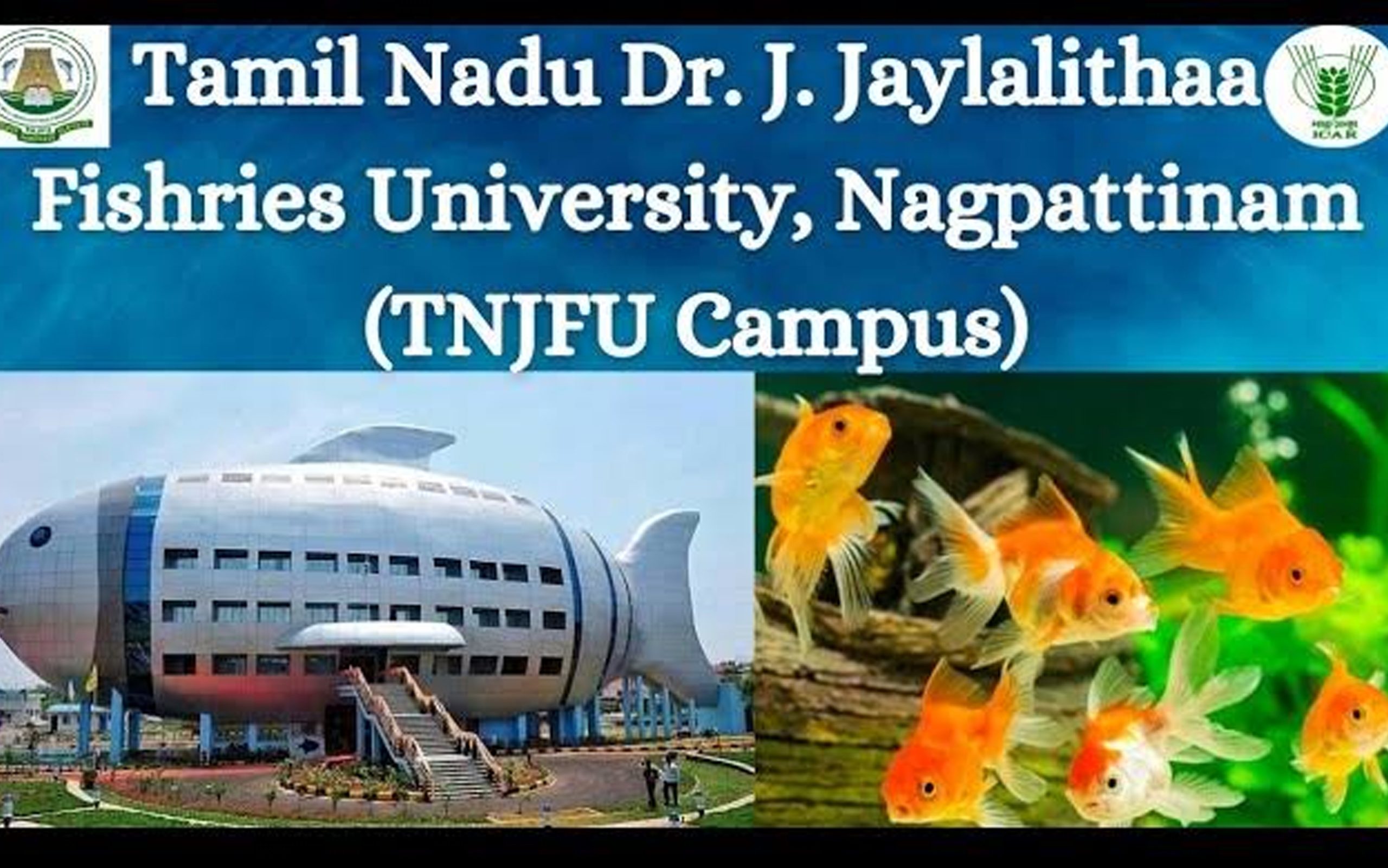 Tamil Nadu Fisheries University WES Verification: Your First Step Toward Global Opportunities by Ccan Solutions.