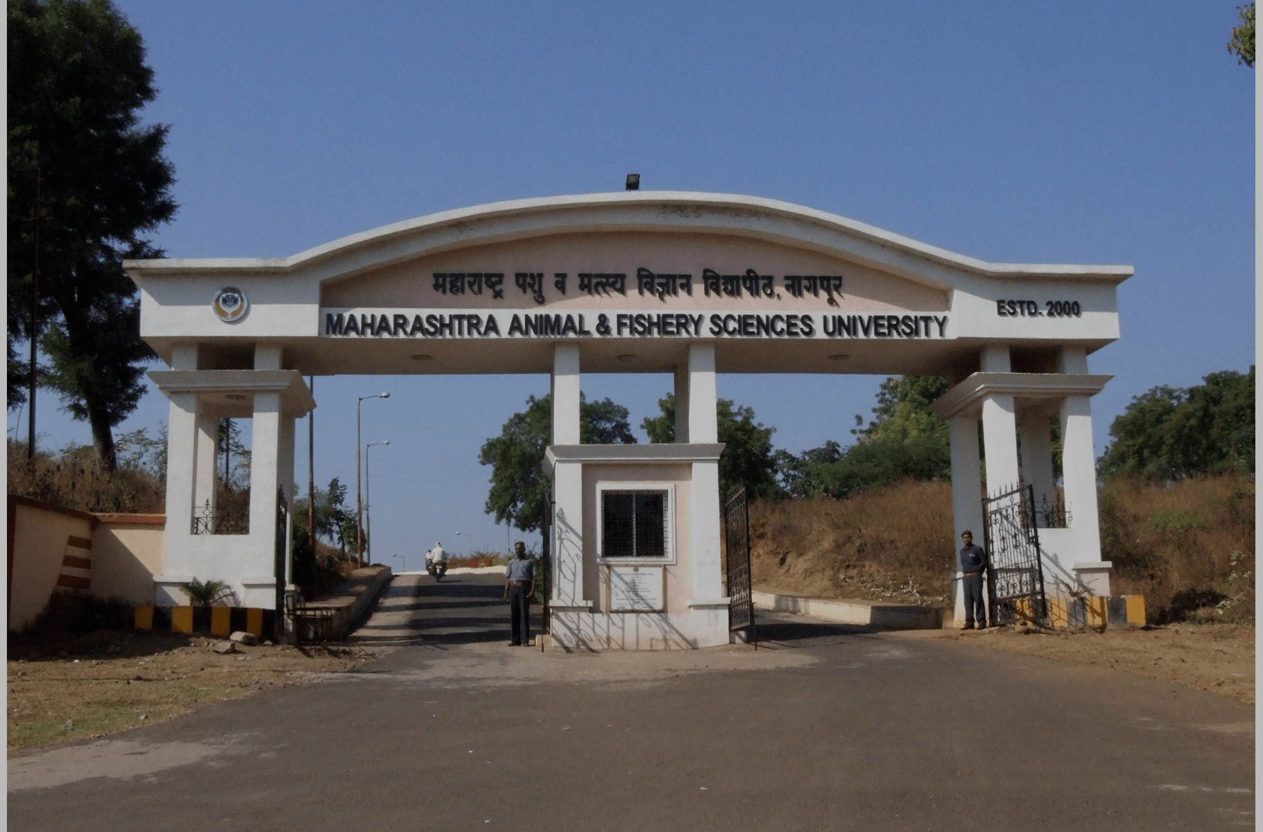 Make Your MAFSU WES Journey Seamless with Ccan Solutions.