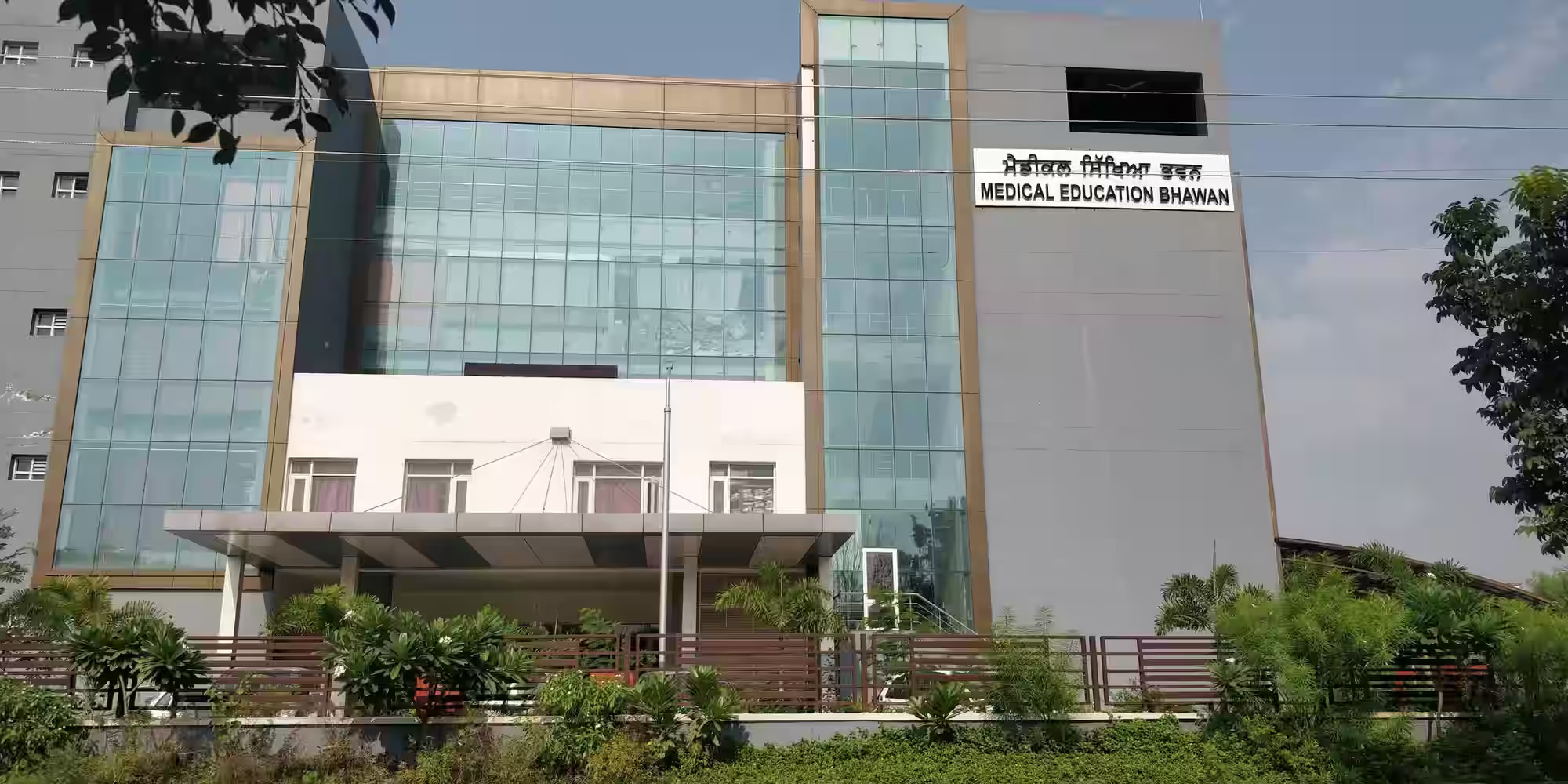 Essential WES Tips for DMER Punjab Graduates Who are Planning to Move Abroad.