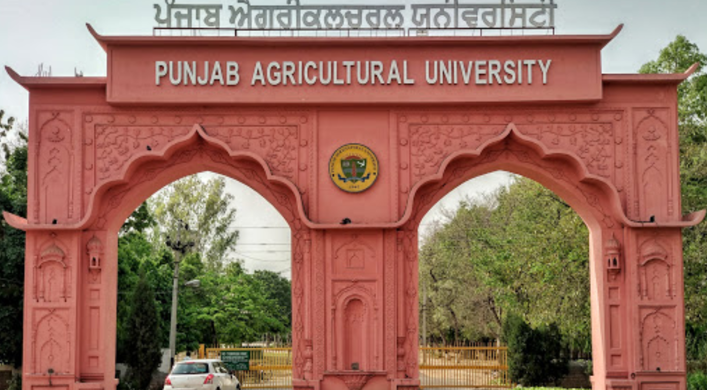 Essential WES Tips for Punjab Agriculture University Graduates Planning to Move Abroad.