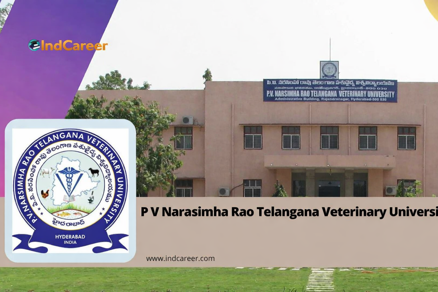 WES Verification for PVNRTVU Alumni: Requirements, Procedure & Tips by Ccan Solutions.