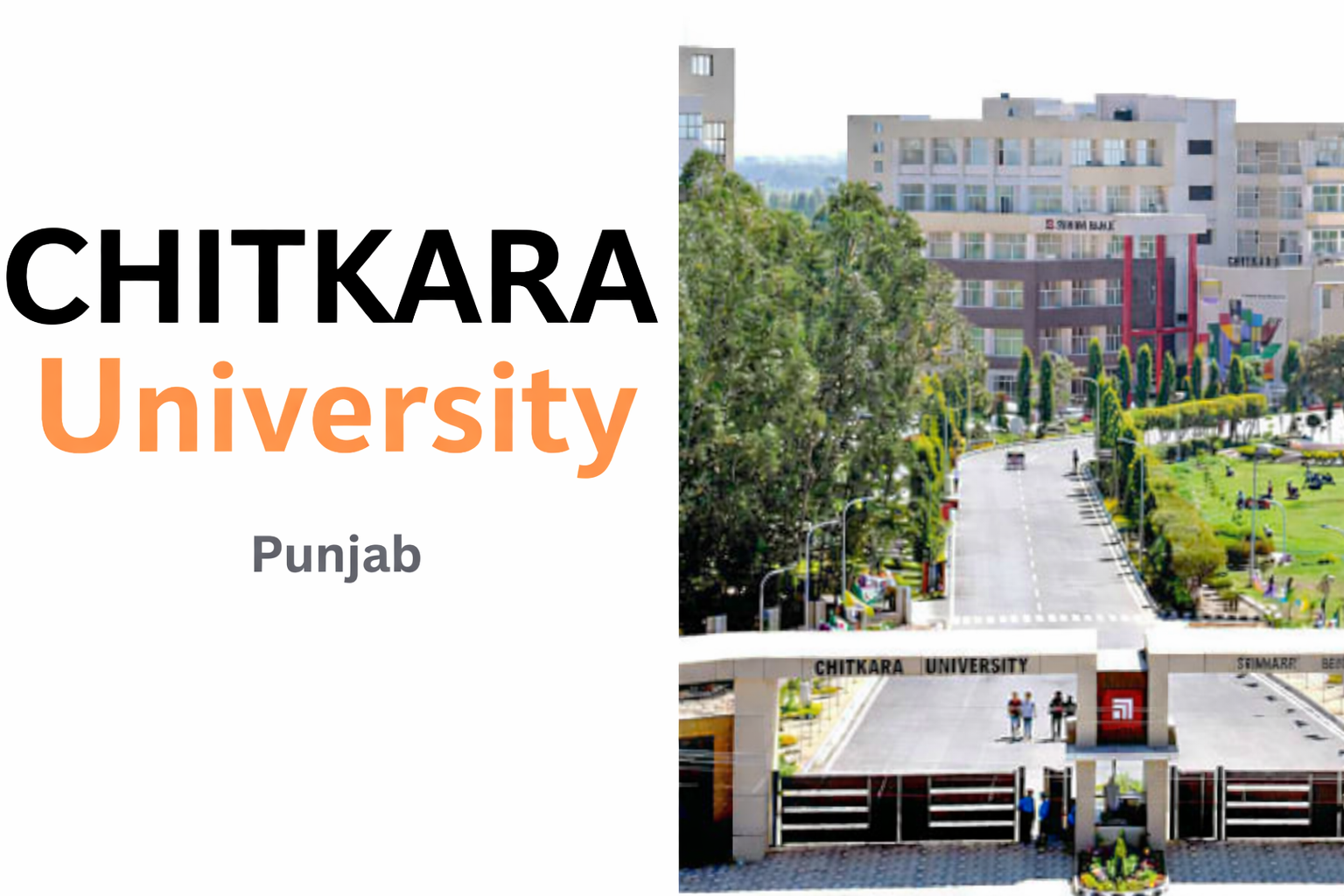Planning a Chitkara University Punjab Rajpura WES Assessment in 2026? Read This Before You Apply.