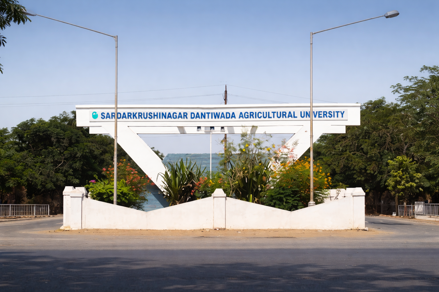 Fast-Track Your SDAU WES Evaluation with Ccan Solutions.