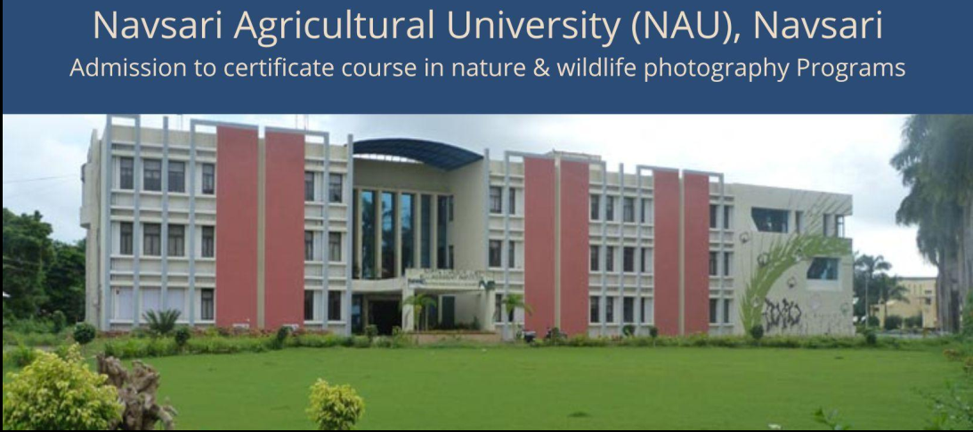 How to Get NAU WES Evaluation for Canada & USA: A unique guide by Ccan Solutions.