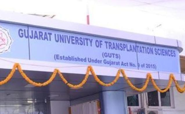 WES Process for GUTS Graduates: Everything You Should Know in 2026. 