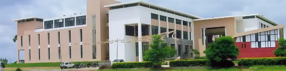 2026 Guide to WES Evaluation for SR University Graduates. 